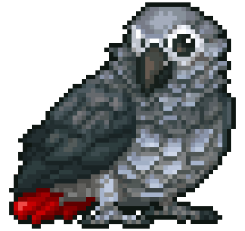 an african grey parrot icon
